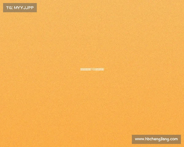 《长空激战：歼16模拟对抗赛》